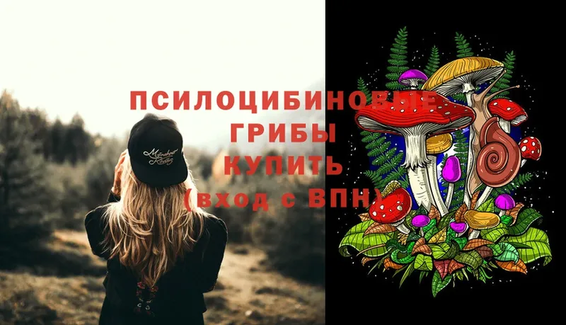 Псилоцибиновые грибы Psilocybine cubensis Новое Девяткино